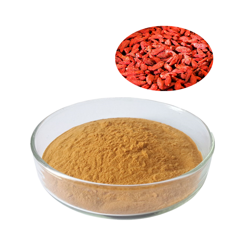 Wolfberry Extract