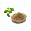 Ginkgo Biloba Extract