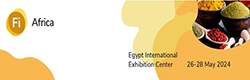 FI Africa 2024