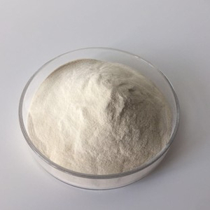 Xanthan Gum Food Grade