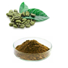 Green Coffee Bean Extract